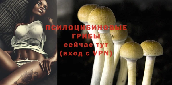 PSILOCYBIN Алексин