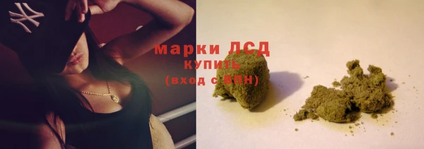 СК Алзамай